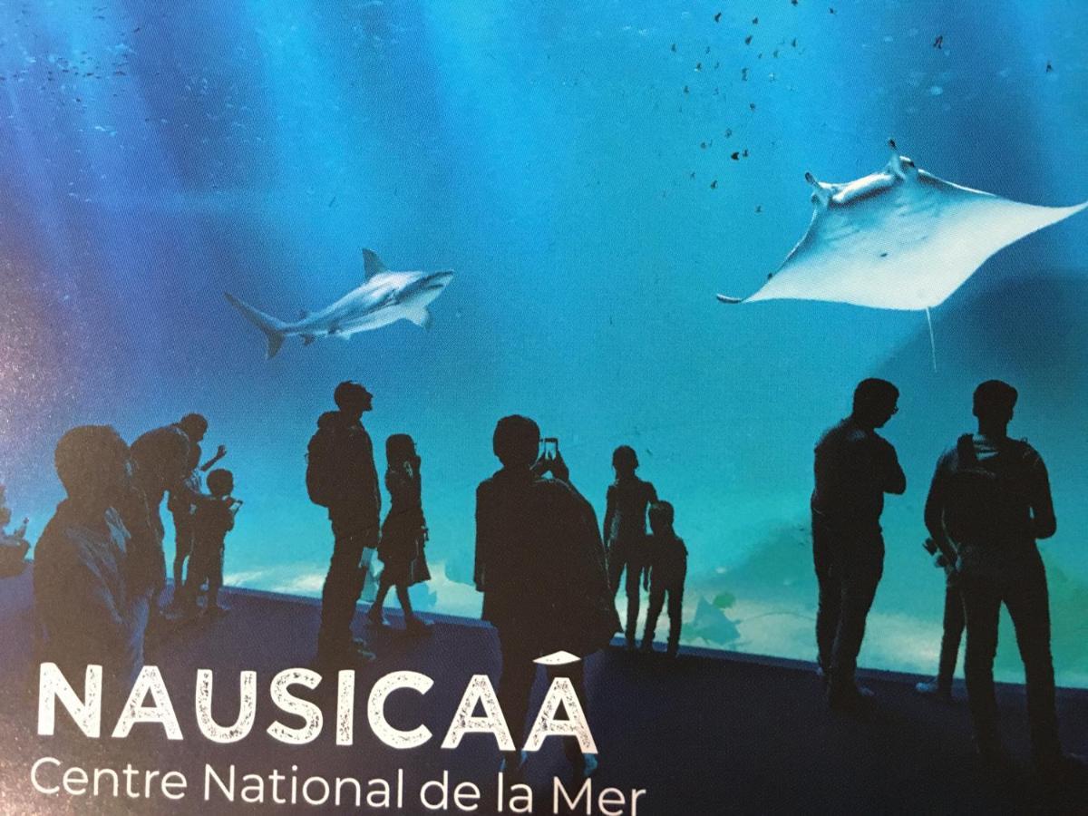 Studio " Escale En Bord De Mer " Wimereux Luaran gambar